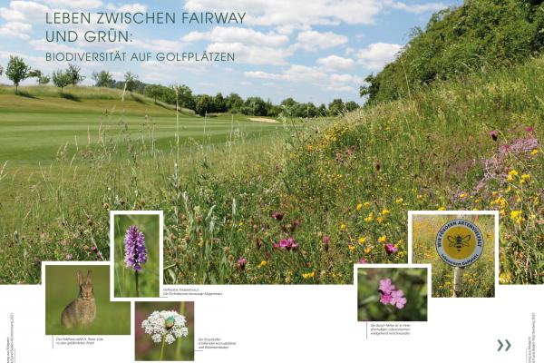 Prasentation Lebensraum Golfplatz 2. Seite V02