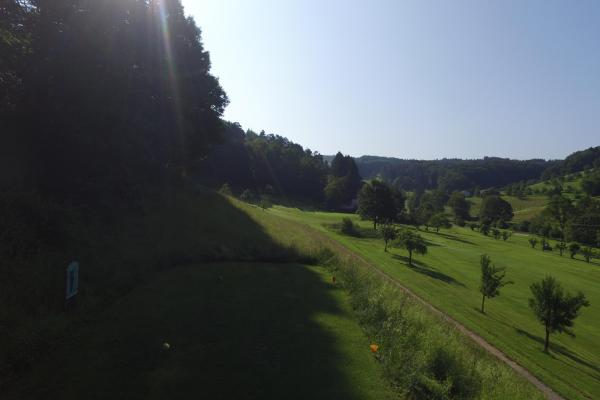 DJI 0106