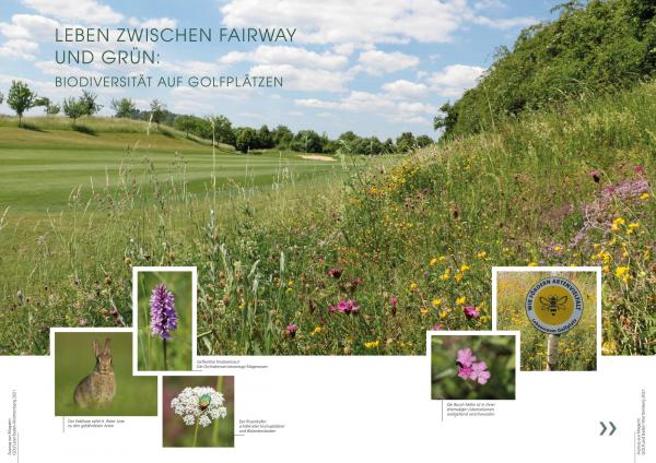 Prasentation Lebensraum Golfplatz 2. Seite V02
